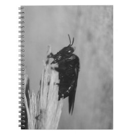 Caderno Espiral Bumblebee