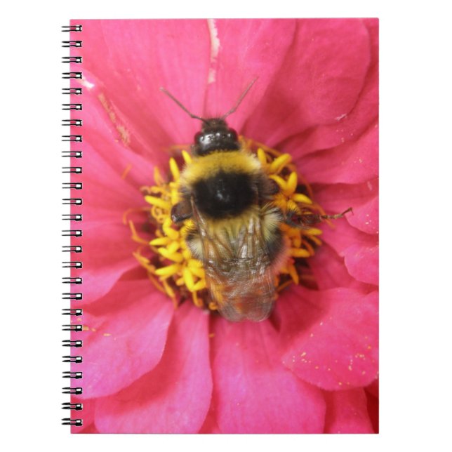 Caderno Espiral Bumblebee Notebook (Frente)