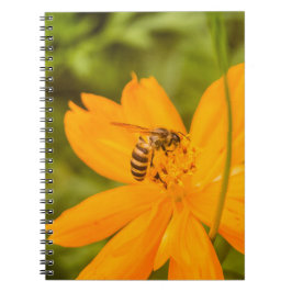 Caderno Espiral Bumblebee on a Sulfur Cosmos