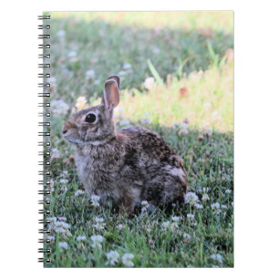 Caderno Espiral Bunny