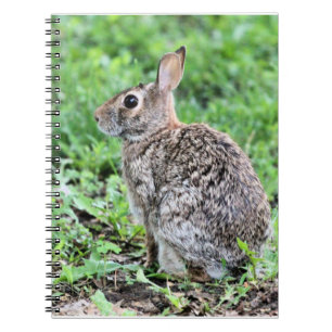 Caderno Espiral Bunny