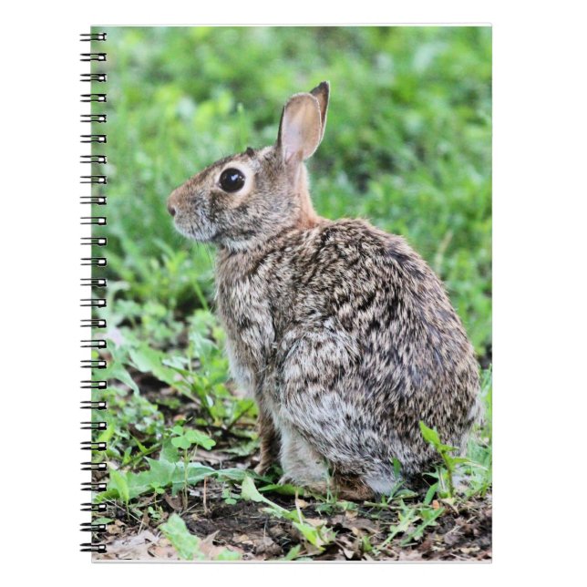 Caderno Espiral Bunny (Frente)