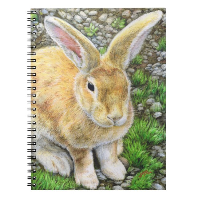 Caderno Espiral Bunny Pastel (Frente)