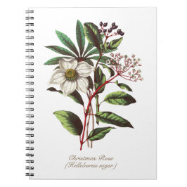 Caderno Espiral Buquê de Flor de Natal Botânico Vintage