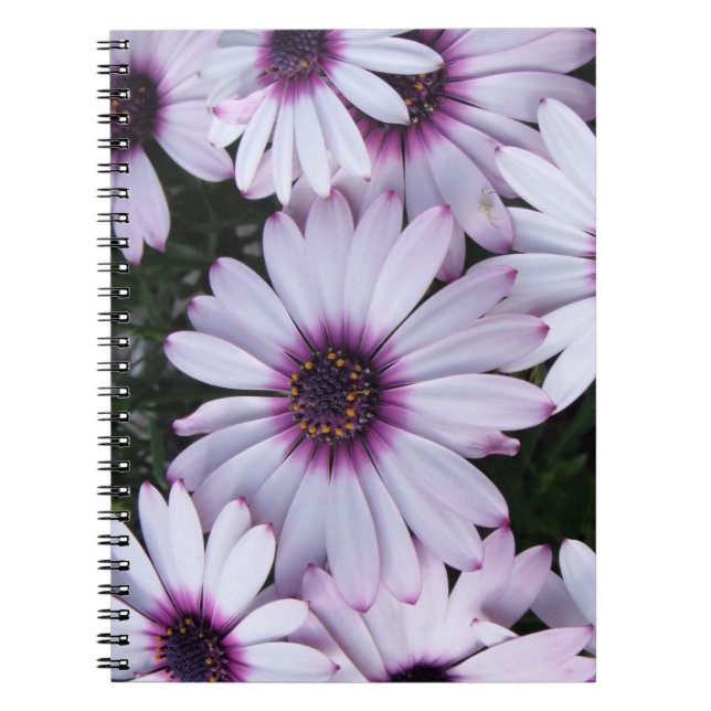 Caderno Espiral Buquê de Sangue Puro-Luz (Frente)