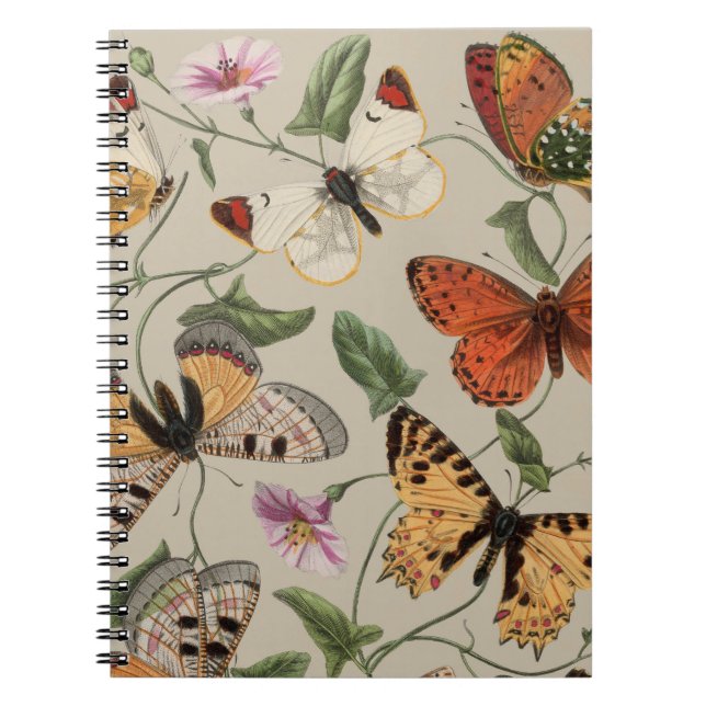 Caderno Espiral Butterfly Moth Nature Desenho aquarela antiga (Frente)