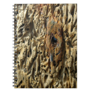 Caderno Espiral Cabeça