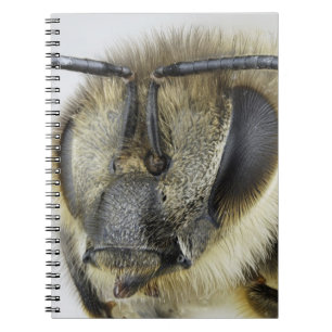 Caderno Espiral Cabeça da abelha