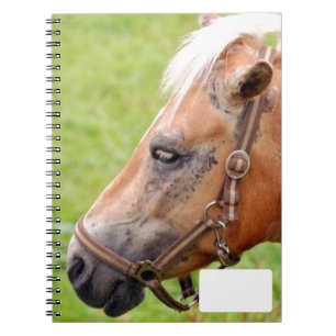 Caderno Espiral Cabeça de cavalo 003
