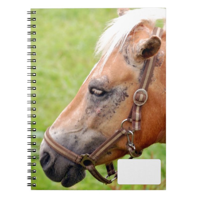 Caderno Espiral Cabeça de cavalo 003 (Frente)