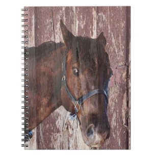 Caderno Espiral Cabeça de Cavalo Ocidental Olhe nos olhos dele.