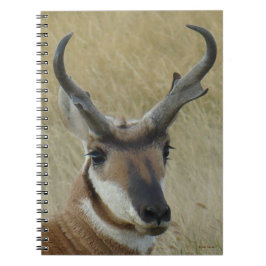 Caderno Espiral Cabeça de Grande Antílope Bighorn A5