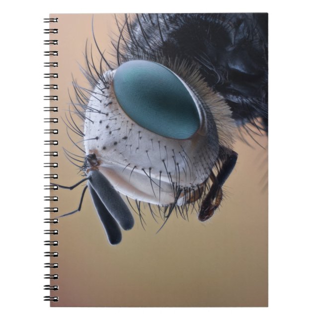 Caderno Espiral Cabeça de Inseto de Insetos de Fechamento (Frente)