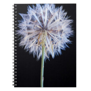 Caderno Espiral Cabeça de Semente de Dandelion (Taraxacum Officina
