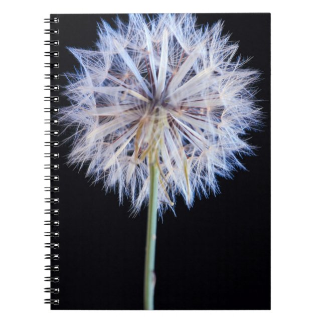 Caderno Espiral Cabeça de Semente de Dandelion (Taraxacum Officina (Frente)