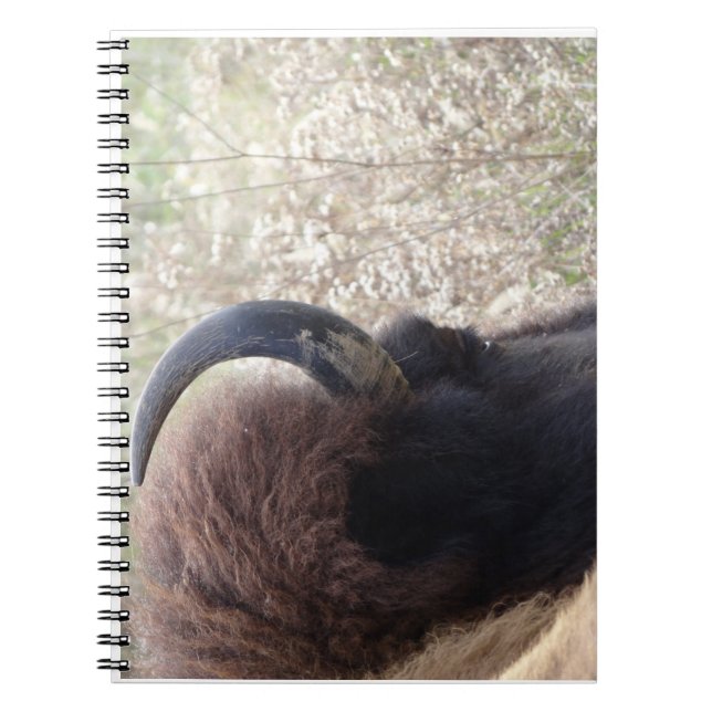 Caderno Espiral Cabeça do bisonte que encontra-se para baixo (Frente)