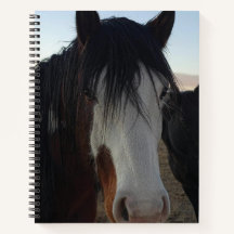 Caderno Espiral Cabelo nos Olhos