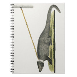 Caderno Espiral Cabo Cinza Mongoose