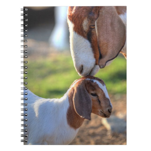Caderno Espiral Cabra da mãe que beija seu bebê na cabeça (Frente)