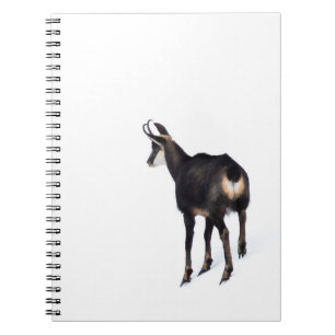 Caderno Espiral Cabra de montanha de Chamois alpina minimalista na