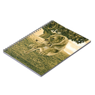 Caderno Espiral Caça à ionidade