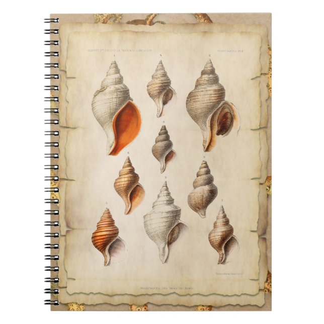 Caderno Espiral Caça de Profundidade (Frente)