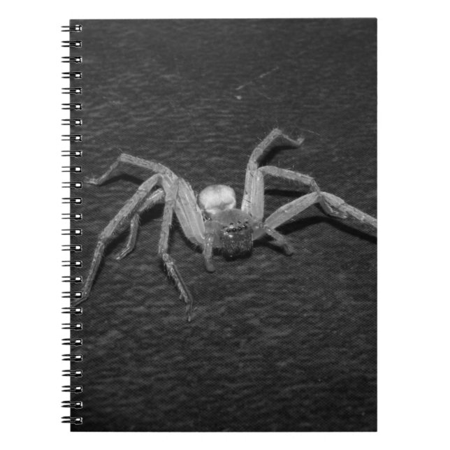 Caderno Espiral Caçador Preto e Branco Aranha (Frente)