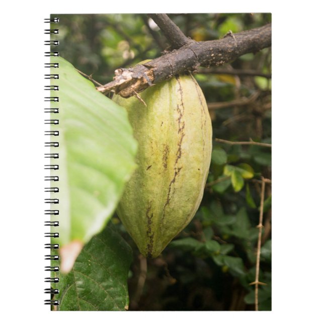 Caderno Espiral cacao pod (Frente)