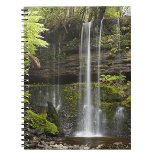 Caderno Espiral Cachoeira Russell, Parque Nacional Mount Field,