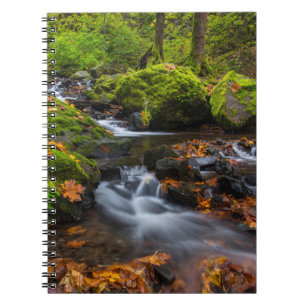 Caderno Espiral Cachoeira Starvation Creek Desfiladeiro da Colúm