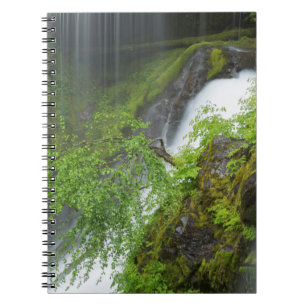 Caderno Espiral Cachoeira Verde Pitoresca