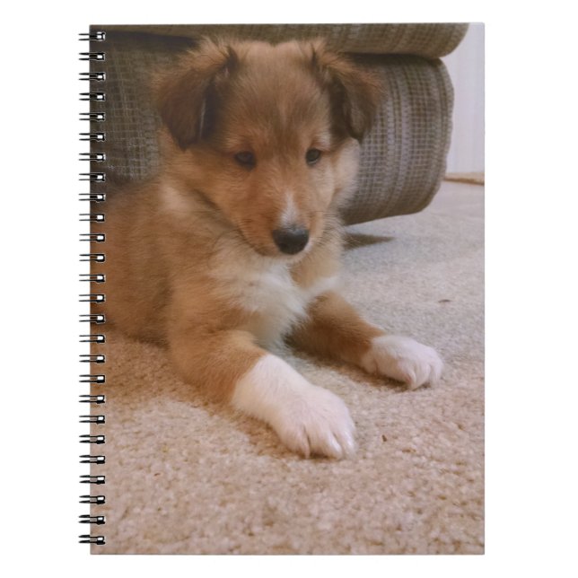 Caderno Espiral cachorrinho (Frente)