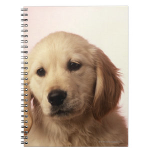 Caderno Espiral cachorrinho de recuperação de ouro