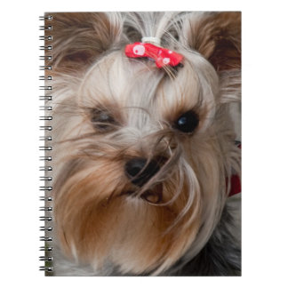 Caderno Espiral Cachorro bonito
