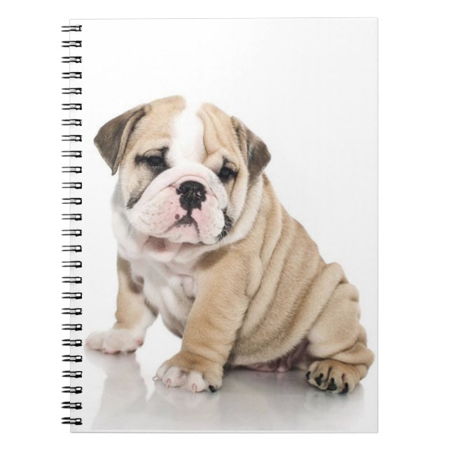 Caderno Espiral Cachorro Cachorro (Frente)