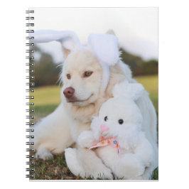Caderno Espiral Cachorro de Lapphund, Branco, Finlandês