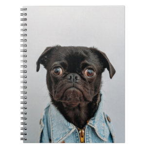 Caderno Espiral cachorro de negócios