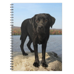 Caderno Espiral Cachorro do Retriever Labrador Preto