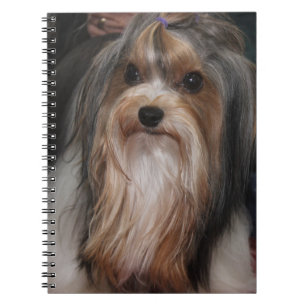 CADERNO ESPIRAL CACHORRO DO TERRIER BIEWER CUTE PEQUENO