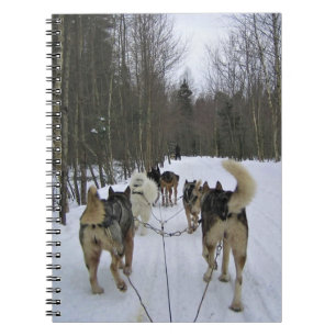 Caderno Espiral Cachorro Dormindo em Quebec, Canadá