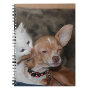 Caderno Espiral Cachorro Gato A Lamber