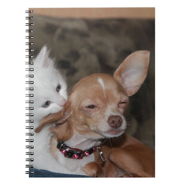 Caderno Espiral Cachorro Gato A Lamber (Frente)