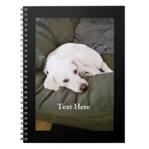 Caderno Espiral Cachorro Labrador Retriever Branco Fofo e Cansado