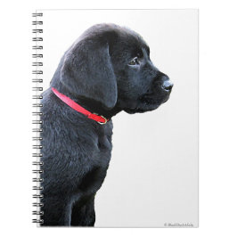 Caderno Espiral Cachorro Negro Labrador Cachorro Puppy