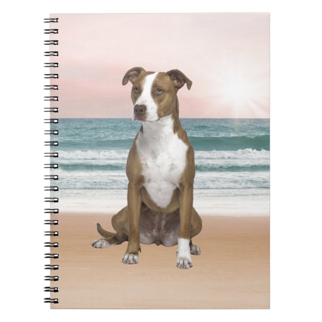 Caderno Espiral Cachorro Pitbull bonito sentado na praia com o pôr (Frente)