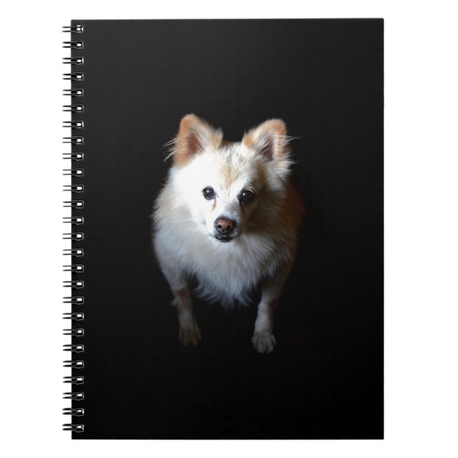 Caderno Espiral Cachorro Pomerano no Escuro (Frente)