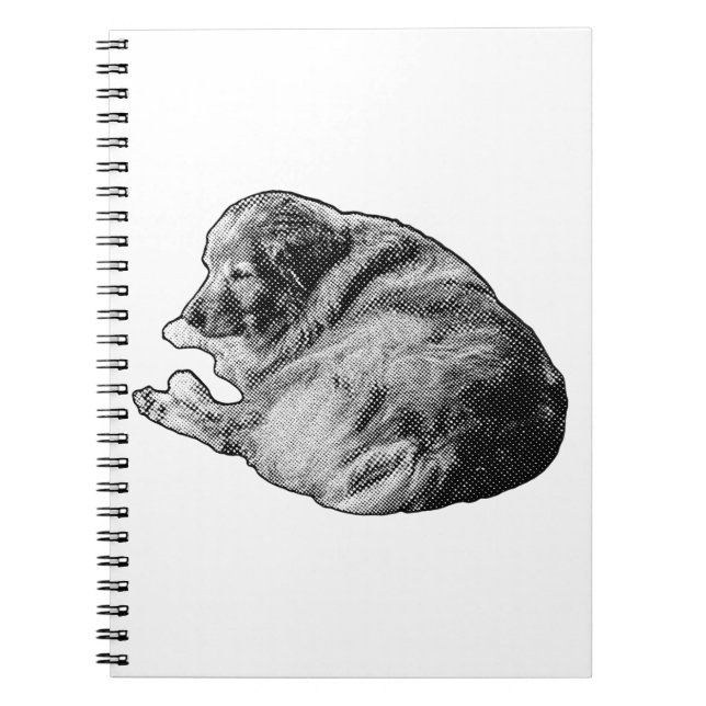 Caderno Espiral Cachorro Pontinho Tranquilo Inspira Bilhetes de Fé (Frente)