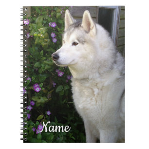 Caderno Espiral Cachorro-Pupppy Siberian Husky
