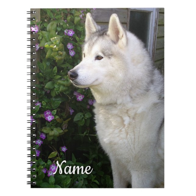 Caderno Espiral Cachorro-Pupppy Siberian Husky (Frente)