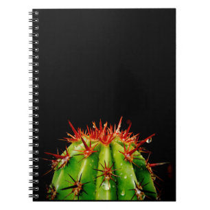 Caderno Espiral Cacto